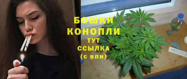 тгк Арсеньев