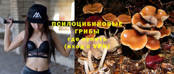 mix Няндома