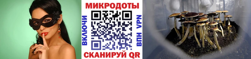 Галлюциногенные грибы ЛСД  Рассказово 